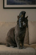 Cat Spartan Helmet/Mask